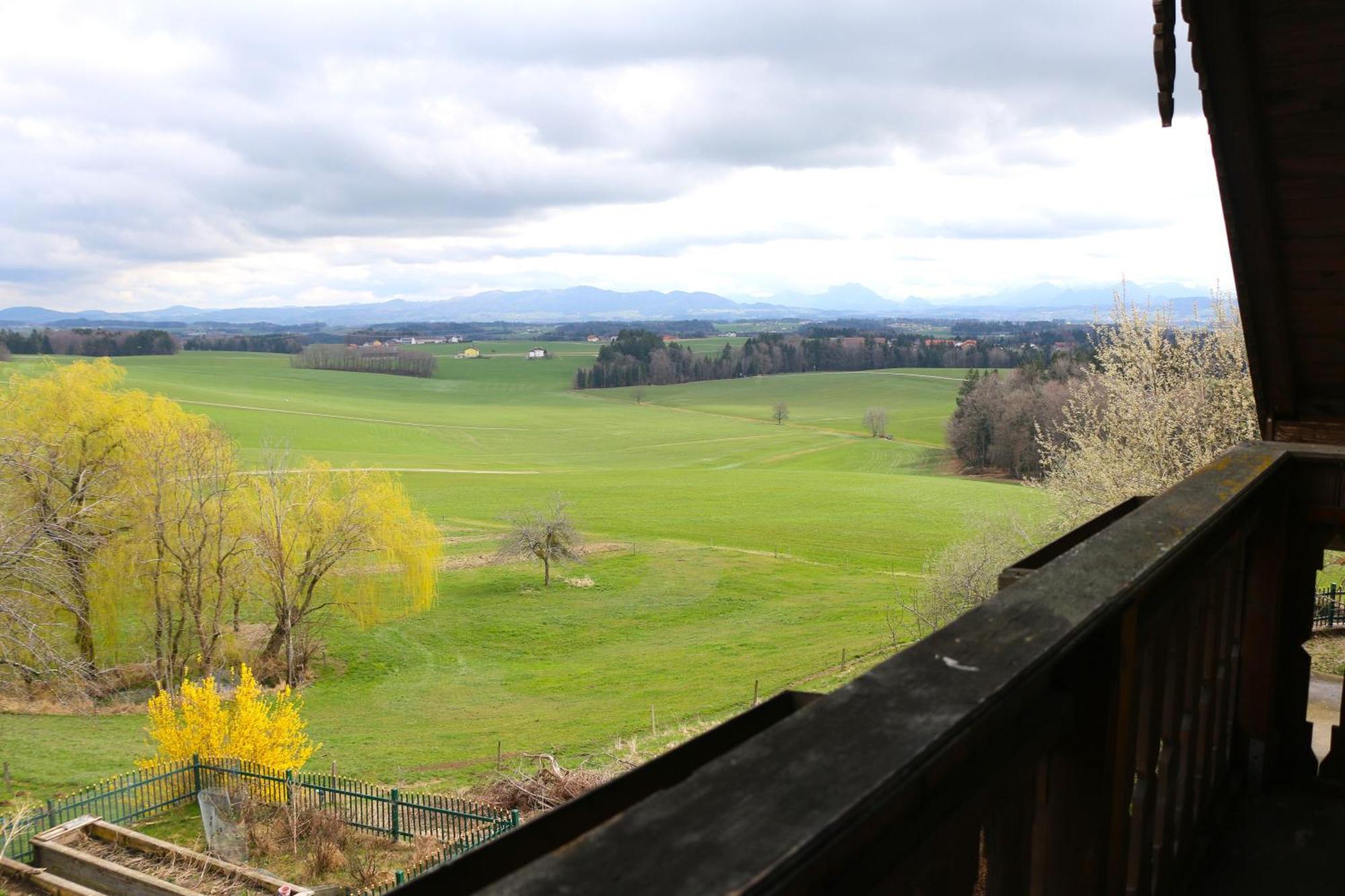 Ferienwohnung Am Bio-Bauernhof โอแบร์ทรุม อัม เซ ภายนอก รูปภาพ
